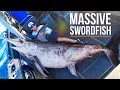 Download Lagu Greatest Swordfish Fishing in the World