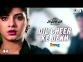 Dil Cheer Ke Dekh ((Jhankar)) Kumar Sanu | Kamal Sadanah | Divya Bharti | Rang | 90's Iconic Song