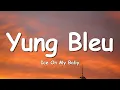 Download Lagu Ice On My Baby - Yung Bleu (Lyrics)