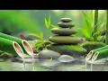 Relaxing Sleep Music + Insomnia: Bamboo, Stress Relief, Deep Sleep, Relax & Therapy Music 🌿 #21