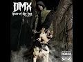 DMX - We In Here  (HQ)