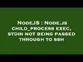 NodeJS Node js child - process exec stdin not being passed through to ssh
