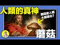 Lagu 人類「簡史」，迷幻猴才是大腦進化真相？死海古卷學者竟說耶穌真身是大蘑菇！壁畫上的蘑菇薩滿，從視覺研究到熵腦假說，難道真菌才是專為人類設計的伴生物......｜總裁聊聊