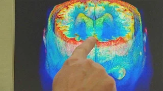 كيف تصبح أكثر ذكاء خطوات بسيطة وفعالة لزيادة معدل الذكاء 