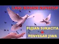 Download Lagu Lagu Rohani Nonstop Penyegar Jiwa || Pujian Sukacita