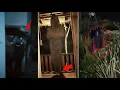 Download Lagu Penakut Skip aja !! Pocong Melayang \u0026 Kuntilanak Menembus tanah | 5 Penampakan Hantu Terseram