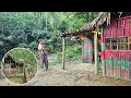 Download Lagu Poor single mother returned to her old abandoned house after days of wandering.