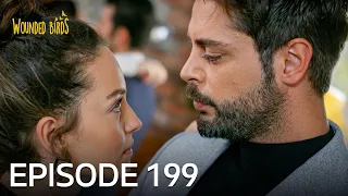 Wounded Birds | Episode 199