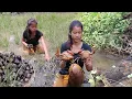 Download Lagu Life in jungle, Big crabs soup chili tasty for food of survival, Snails curry spicy for dinner