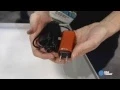 Small light Dart hits target for laptop USB charging