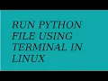 Run python in linux terminal