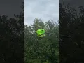 Fw450 v3 flight