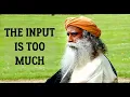 Download Lagu You must bring down the input and SIT STILL - Sadhguru