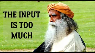 Download You must bring down the input and SIT STILL - Sadhguru MP3