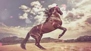 أدمنت  هواك  دندنها