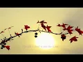 Dan Fogelberg - Believe In Me [w/ lyrics]