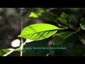 Dan Fogelberg - Believe In Me w