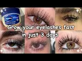 HOW I GROW MY EYELASHES IN JUST 3 days naturally