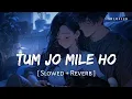 Download Lagu Tum Jo Mile Ho (Slowed + Reverb) | Vishal Mishra | Vicky Vidya Ka Woh Wala Video | SR Lofi 2.0