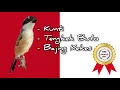 Download Lagu 1 🔴 TOP Masteran Cendet Juara 🥇🏆🚩