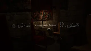ف اذ ك ر ون ي أ ذ ك ر ك م و اش ك ر وا ل ي و ل ا ت ك ف ر ون العجمي 