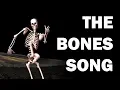 Download Lagu SKELETON BONES SONG - LEARN IN 3 MINUTES!!!