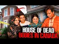 Download Lagu A family home turns into a place of hell: even experienced detectives were horrified! Documentary
