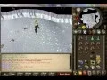 EXODUS Armadyl chest plate drop