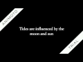 Tidal Cycles