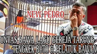 new pedro bawa isian gereja tarung tengkek buto u0026 pelatuk bawang tuntas
