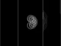 Drawing Spirograph in Python by using Turtle