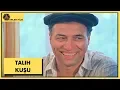 Lagu Talih Kuşu | Kemal Sunal, Yasemin Yalçın | Türk Filmi | Full HD