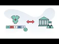 Classifications 101 - Breaking Down HS Codes