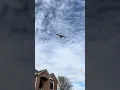 A TikTok user decides to put Walmart s drone delivery system to the test Supermarket News