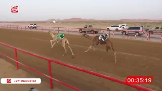 الشوط 2 المشهر لـ حامد حمد محمد الدرعي 2 9 99 شارة الصندوق 2025 2 28 فطامين الرقيعات 