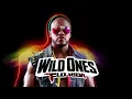 Flo Rida - Wild Ones (feat. Sia)