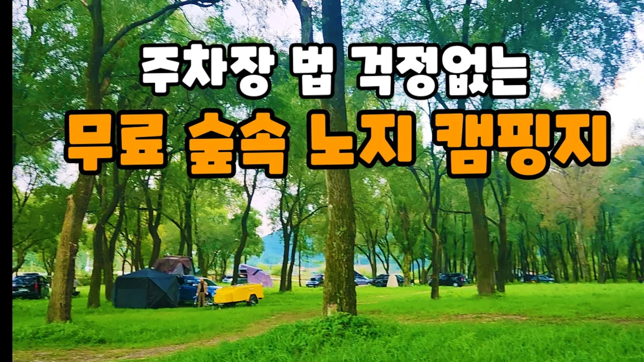 💥주차장법 눈치보지말고 여기로오세요 | 조용한숲속노지  | 정선무료캠핑지 サムネイル