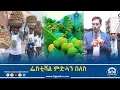 Download Lagu ሕርሻ-ፌስቲቫል ምድሓን በለስ