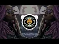Download Lagu Mere Rang Me Rangane Wali ( Private ) Its Rohan Remix || UNRELEASED INDAPURKAR