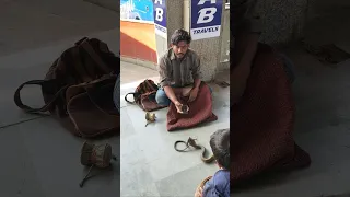 chhote bacche ne dikhaya Jadu 🪄 #magiciannearme #comedy
