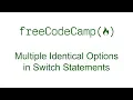 Multiple Identical Options in Switch Statements - Free Code Camp