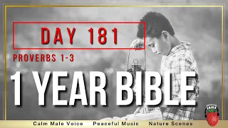 Day 181 Proverbs 1 - 3 Bible NIV