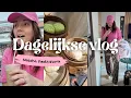 Download Lagu De hele dag hangen op de Albert Cuyp markt | Vloggloss 3893