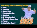 Download Lagu FARIS ADAM - STECU | JUAN REZA - PICA PICA | NYONG TIMUR || LAGU POP TIMUR VIRAL TIKTOK 2025