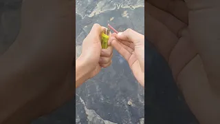 طكطاك قوية اكسبلور لايك اشتراك بقناة العاب ناريه طكطاك نار 