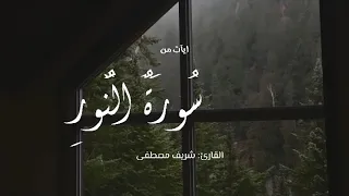 تلاوه هادئه من سورة النور القارئ شريف مصطفى 