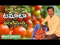 Download Lagu 8 ఏండ్లుగా ఏటా 5 ఎకరాల్లో టమాటా పండిస్తున్న | Tomato Farming | రైతు బడి