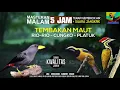 Download Lagu REQUEST MASTERING #14...DURASI 5 JAM MASTERAN MALAM Suara Jernih..Rio Rio Cungko Platuk JOSS GANDOSS