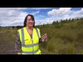 John Dewar Sons distillation and production facilities in Scotland - Unravel Travel TV