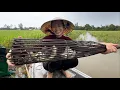 Download Lagu 1708 / Không ngờ sau nhà mình nhiều cá rô như vậy